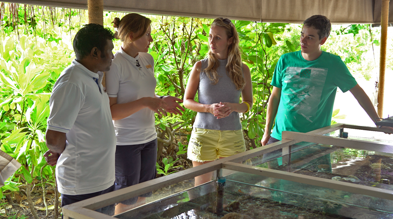Maldivas - Mergulho - Conversando com os biólogos Verena e Hassan