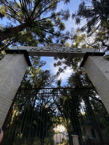 resort magnífico monte verde