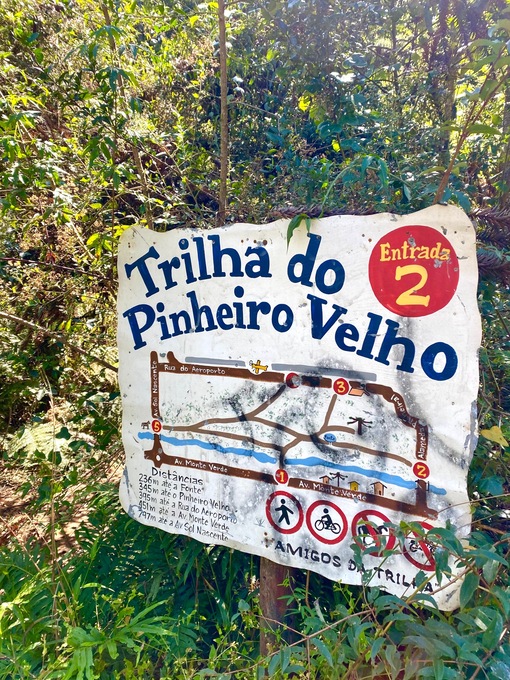 TRILHA DO PINHEIRO VELHO